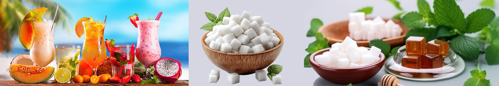 Sweeteners & Fruit Derivatives
